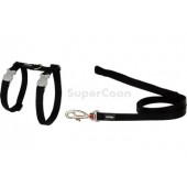 Red Dingo Cat Harness And Lead - Black